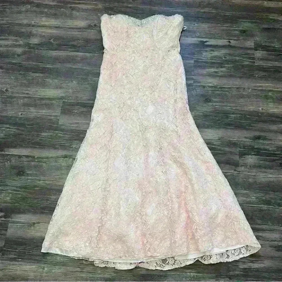 EVA U.S.A. Formal Lace Gown light pink-peach gown size XL - Picture 1 of 11